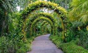 Los mejores parques y jardines para visitar en Madrid