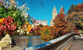 Primavera en Madrid, planes para estas fechas