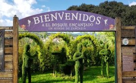 El Bosque encantado de Madrid