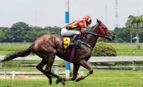 Hipódromo de la Zarzuela