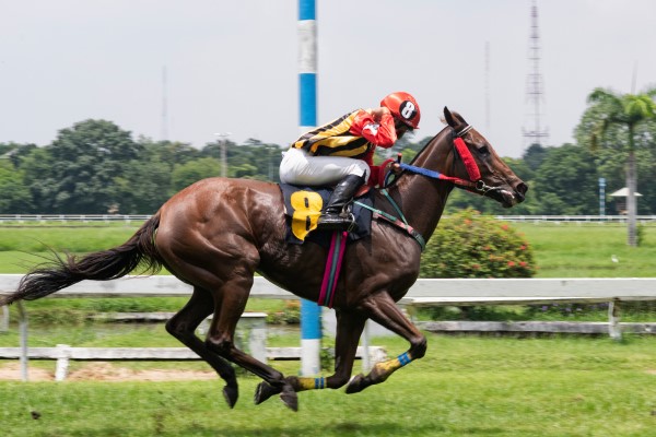 Hipódromo de la Zarzuela