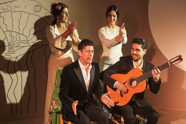 Centro cultural flamenco de Madrid