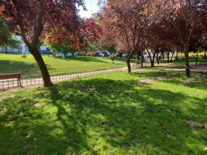 Jardines de las vistillas