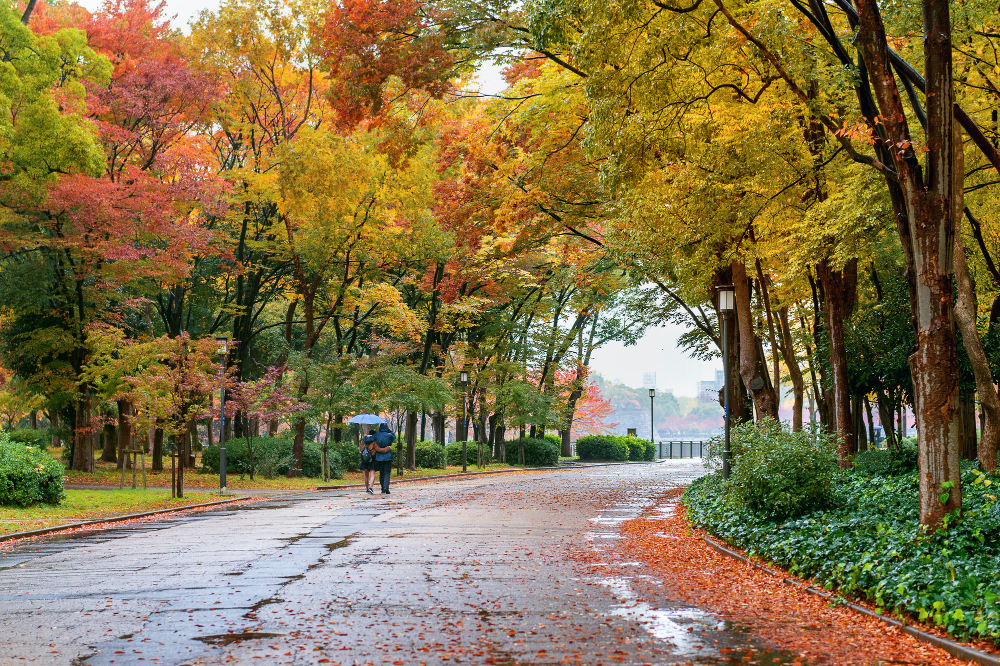 otoño en Madrid