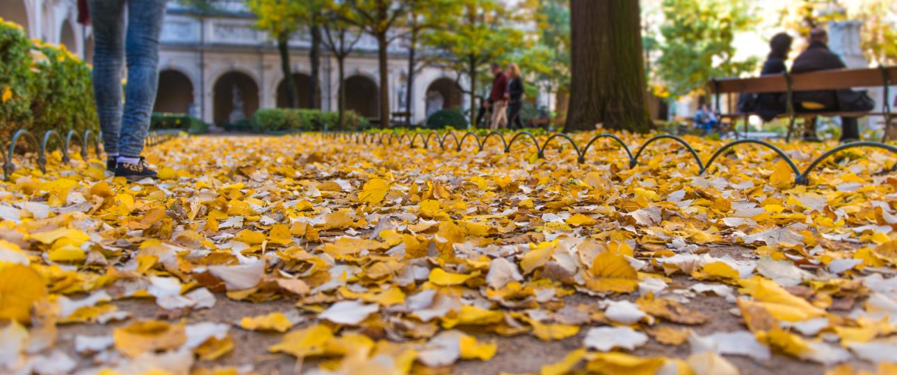 otoño en Madrid