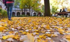otoño en Madrid