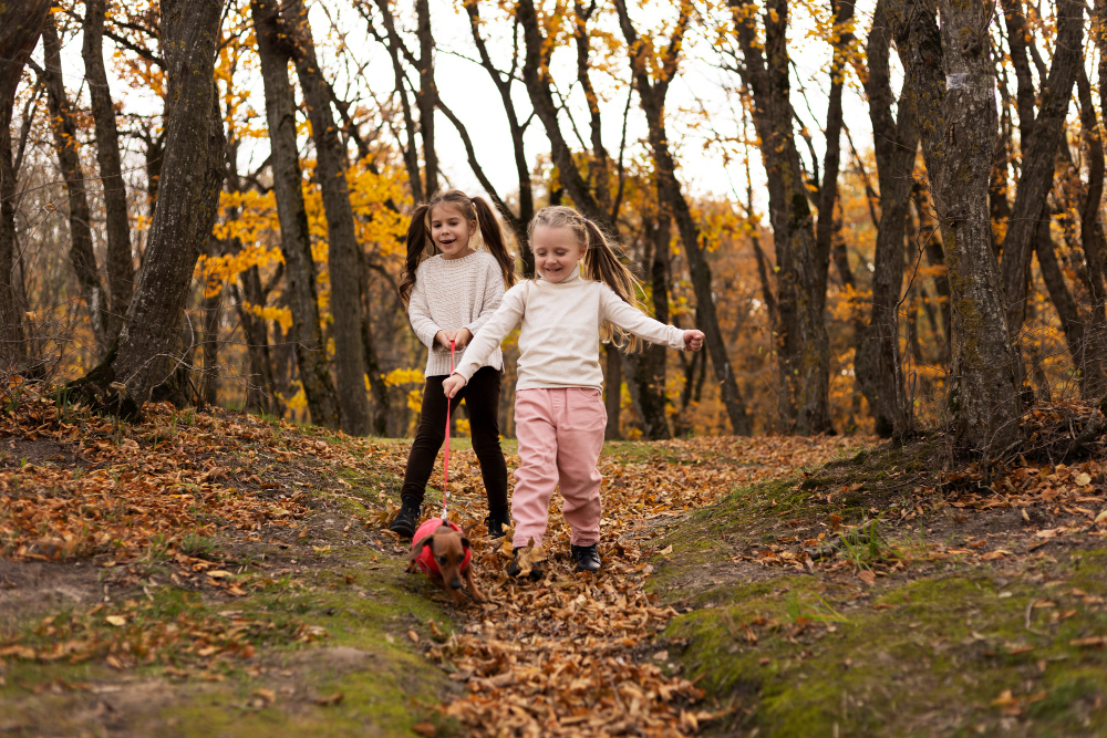 Actividades infantiles de otoño en Madrid