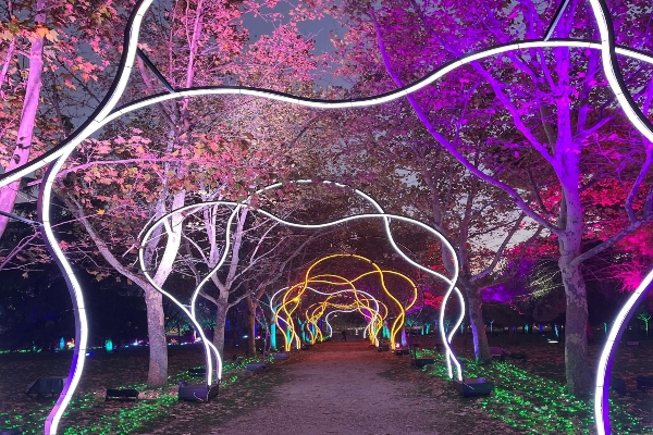 Naturaleza encendida. Parque Enrique Tierno Galván