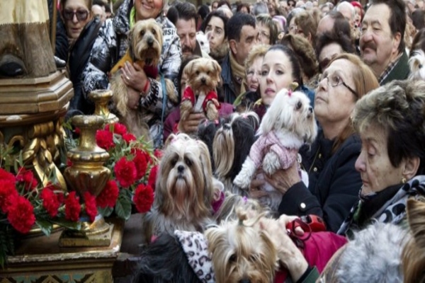 Fiesta de San Antón 2024