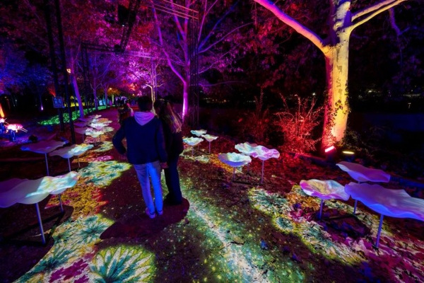 Naturaleza encendida. Parque Enrique Tierno Galván